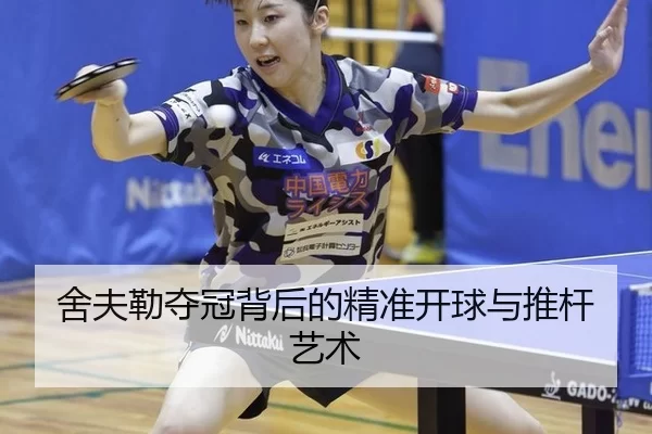 she-fu-lei-duo-guan-bei-hou-de-jing-zhun-kai-qiu-yu-tui-gan-yi-shu-2-373.jpg