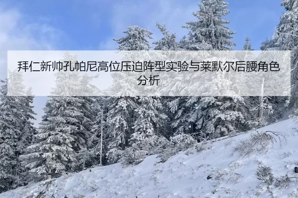 bai-ren-xin-shuai-kong-pa-ni-gao-wei-ya-po-zhen-xing-shi-yan-yu-lai-mo-er-hou-yao-jue-se-fen-xi-3-570.jpg
